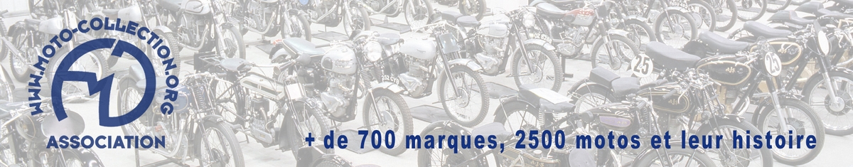 Moto Collection