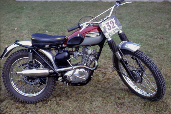 Triumph T20 : Le bouillant Cub