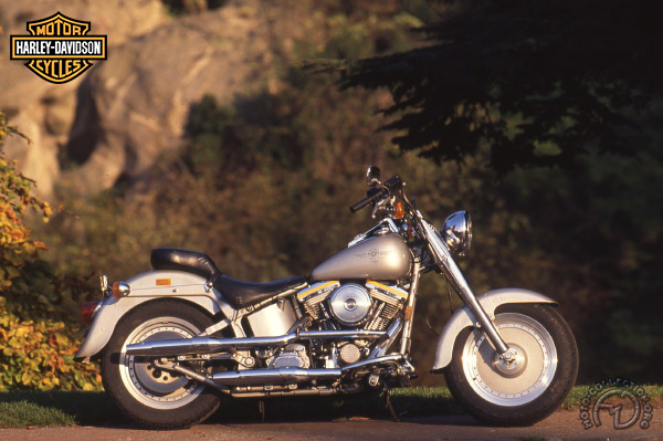 Harley Davidson D2-492-01-01