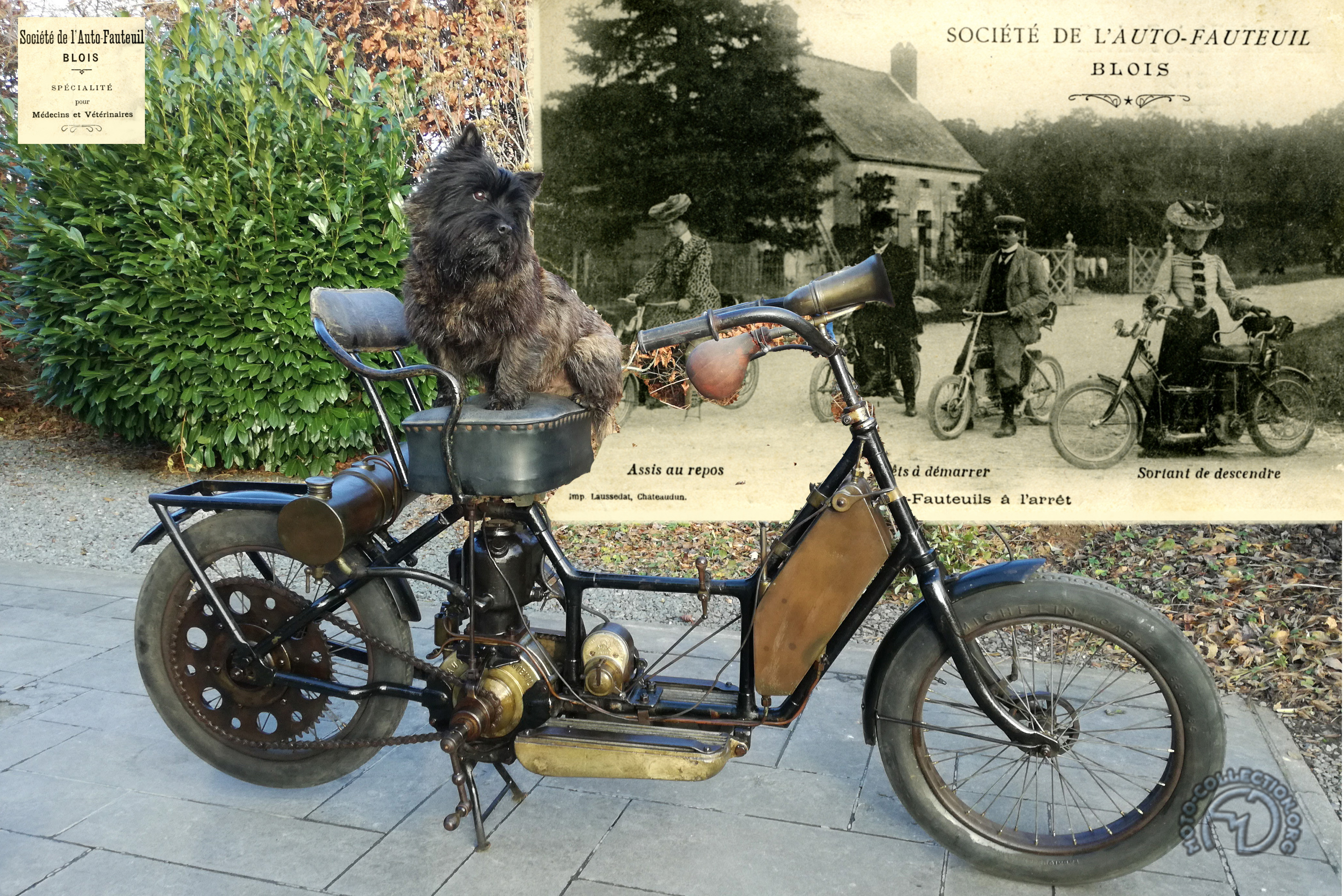 Auto Fauteuil D2-492-102-24