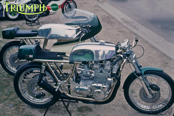 Triumph D2-492-24-06