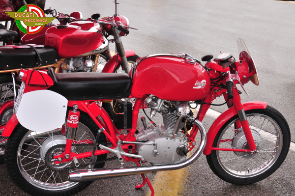 Ducati D2-492-59-17